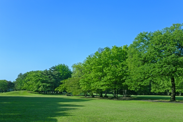 公園