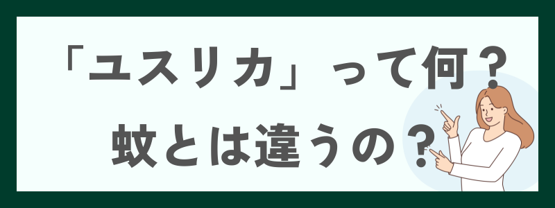 「ユスリカ」って何?蚊とは違うの?