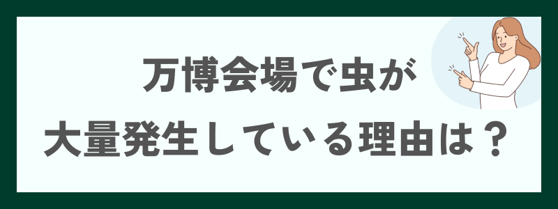 万博会場で虫が大量発生している理由は?