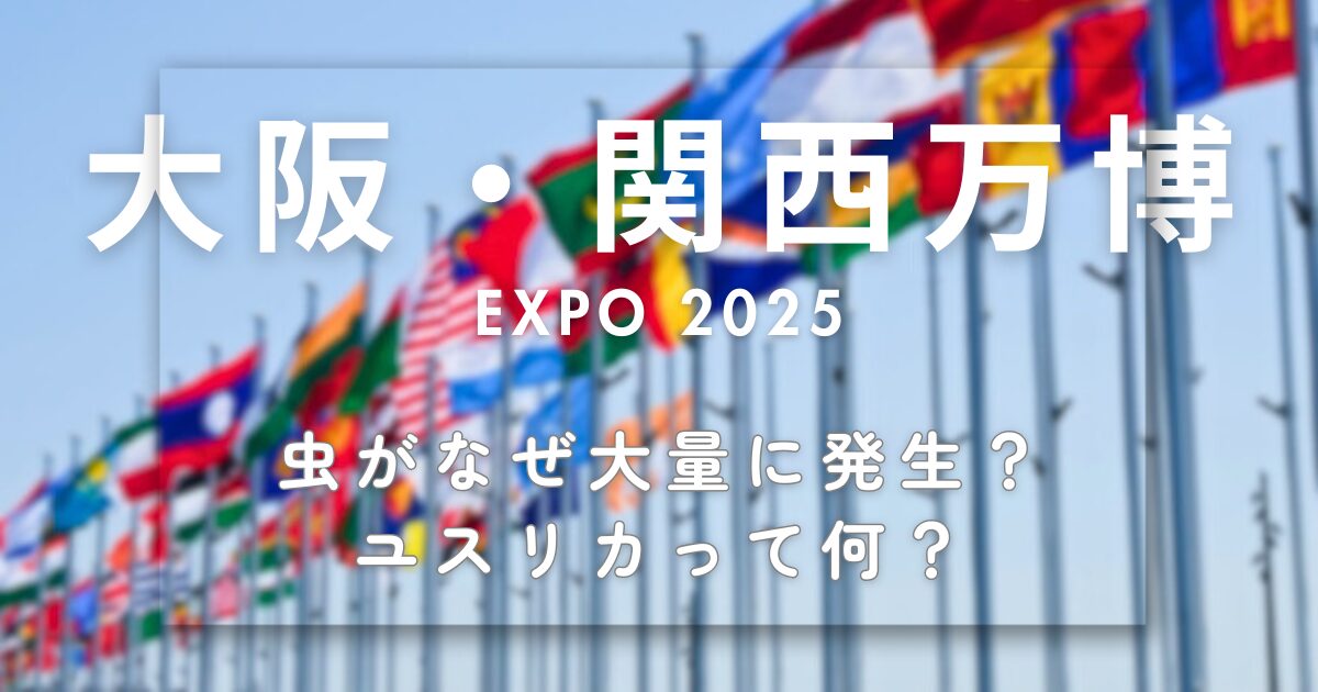 【大阪万博】虫がなぜ大量に発生？ユスリカって何？