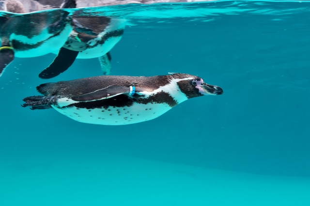 水族館