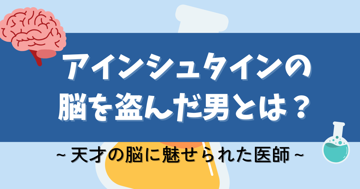 アインシュタインの脳を盗んだ男とは？