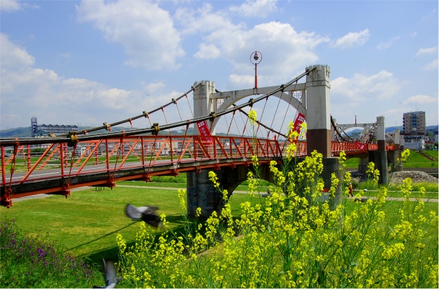 玉手橋