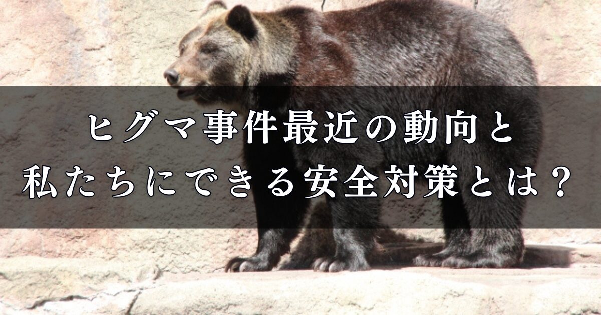 【ヒグマ事件】最近の動向と私たちにできる安全対策とは？