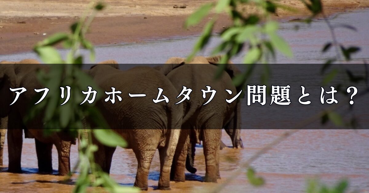 アフリカホームタウン問題とは何？アフリカホームタウン問題がなぜ広がったのかを徹底調査
