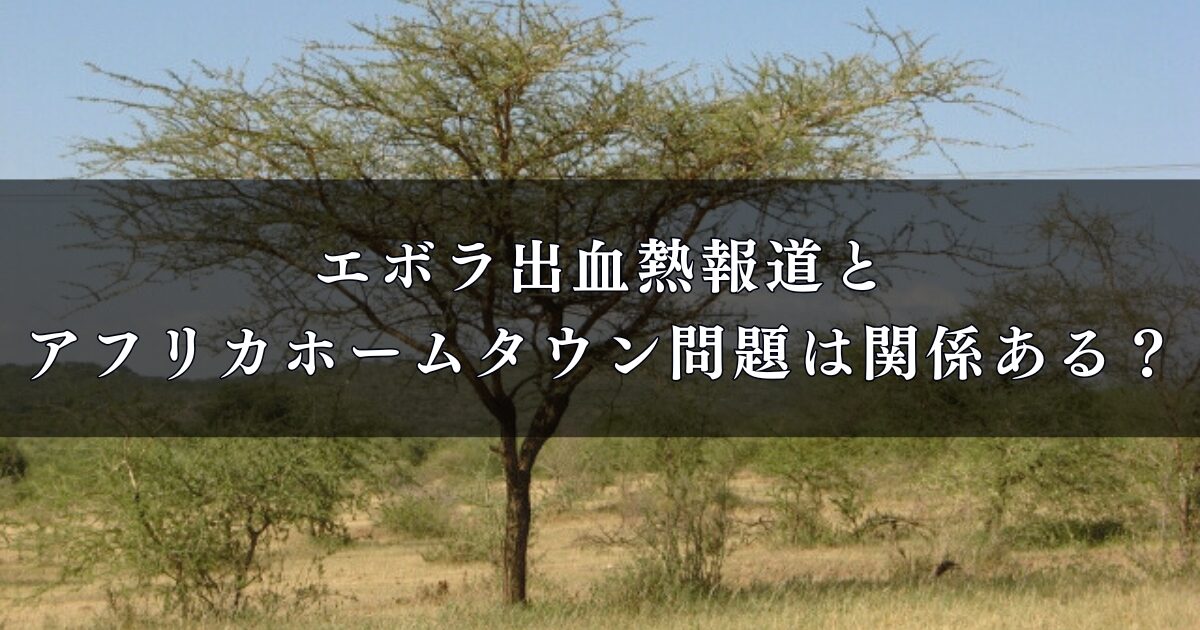 エボラ出血熱報道とアフリカホームタウン問題は関係ある?関連性を徹底調査