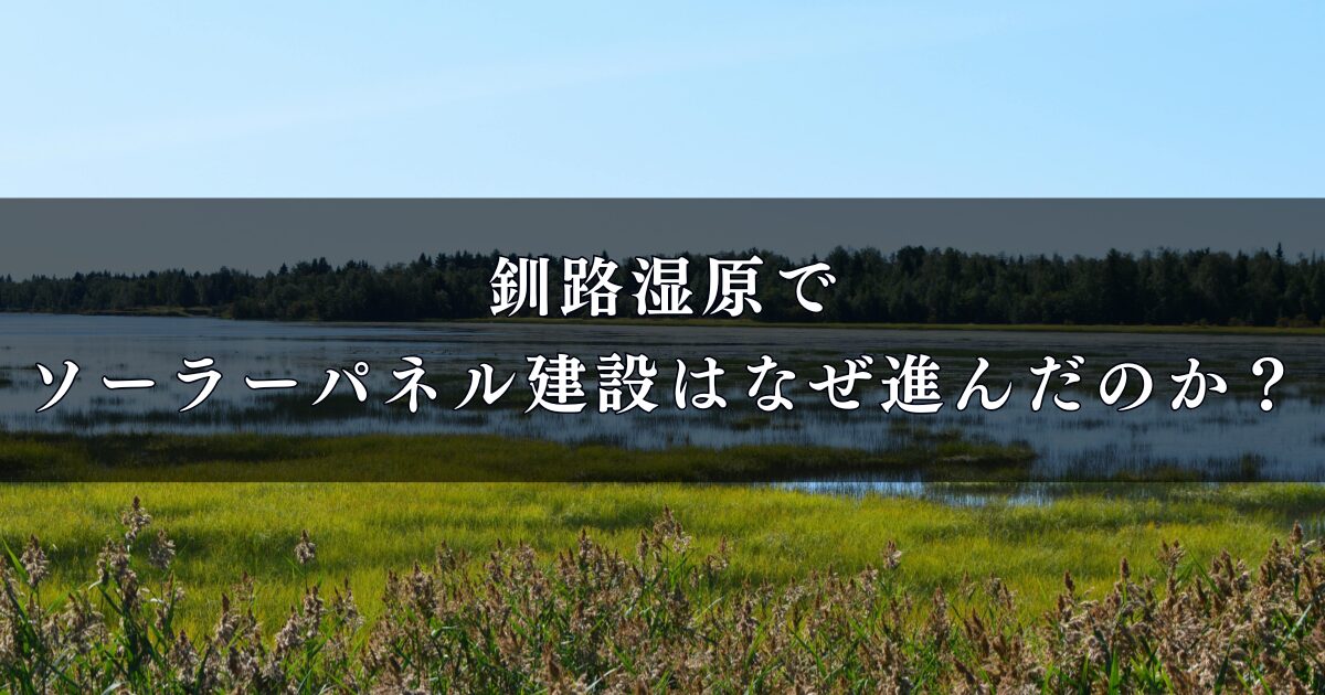 釧路湿原でソーラーパネル建設はなぜ進んだのか?メガソーラ建設の背景や条例は?