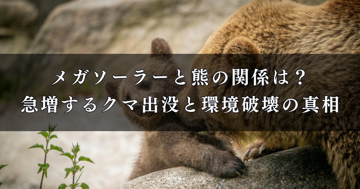 メガソーラーと熊の関係は？急増するクマ出没と環境破壊の真相を徹底調査