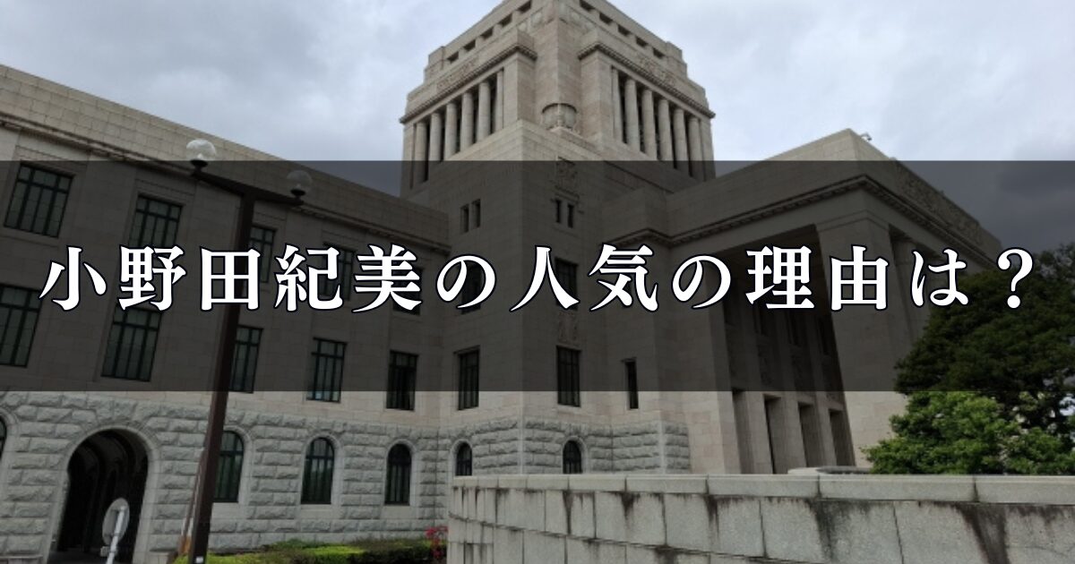 小野田紀美の人気の理由は？ 若者から絶大な支持を集める理由を徹底調査